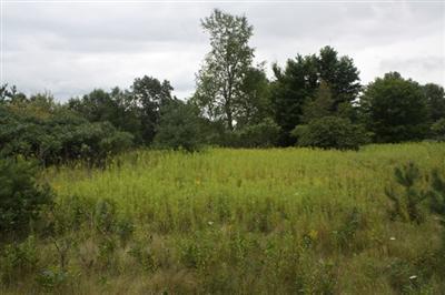 6908 East 17 Mile Road Reed City, MI 49677 - Photo 3 of 6 Additional Photo