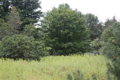 6908 East 17 Mile Road Reed City, MI 49677 - Photo 4 of 6 Additional Photo
