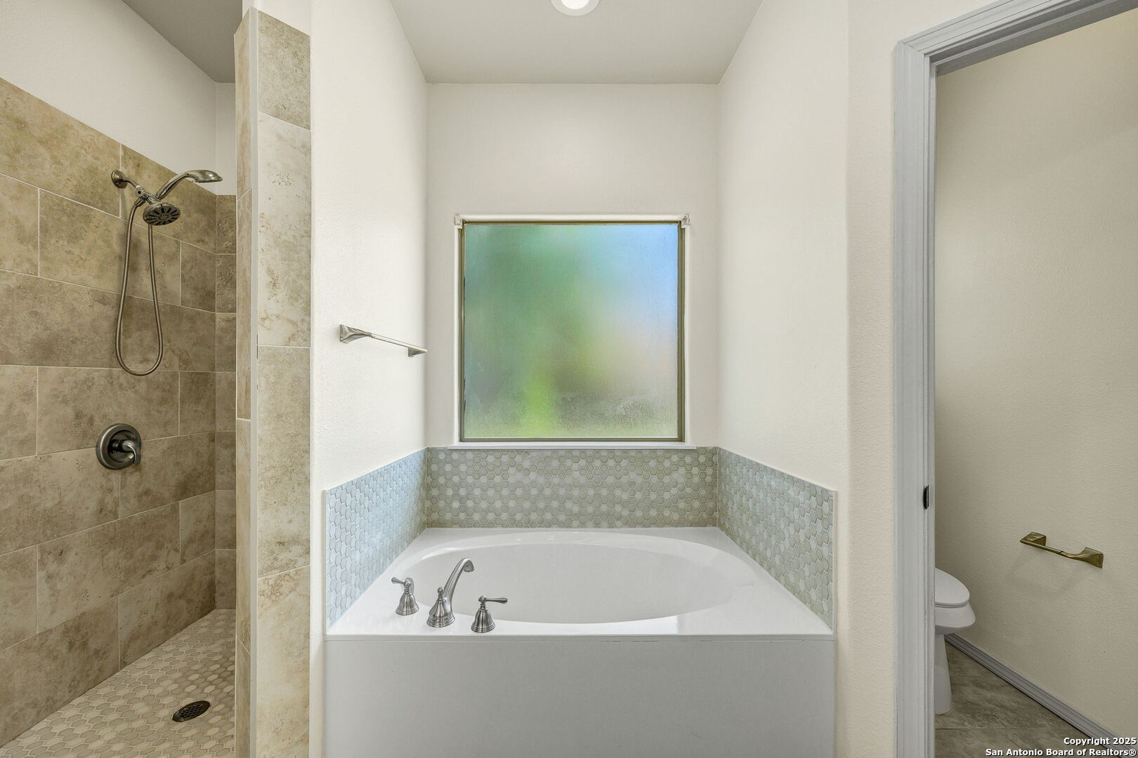 913 Long Meadow Spring Branch, TX 78070 - Photo 31 of 50