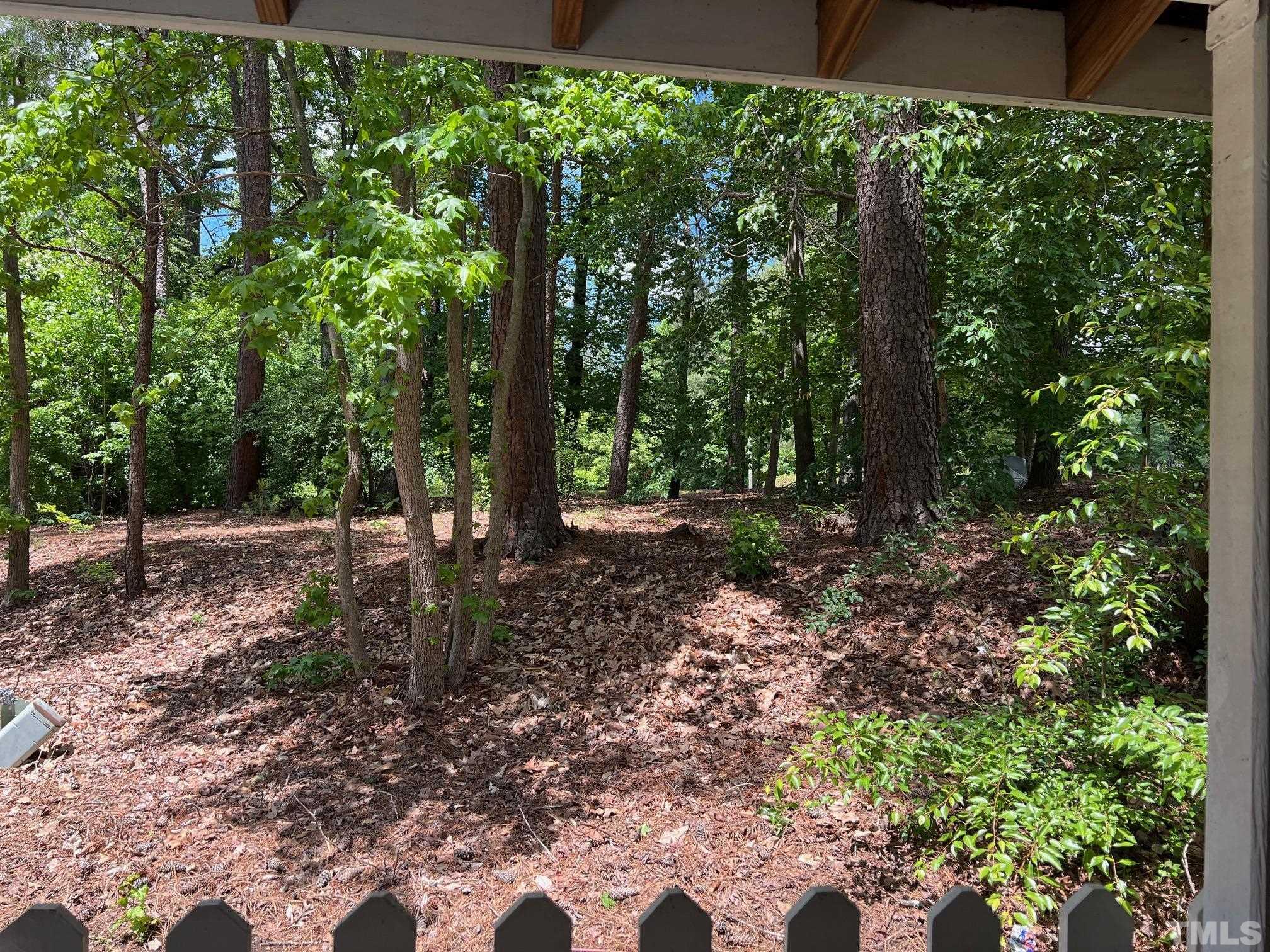 700 Godwin Court Raleigh, NC 27606 - Photo 20 of 20 a view of a forest with trees