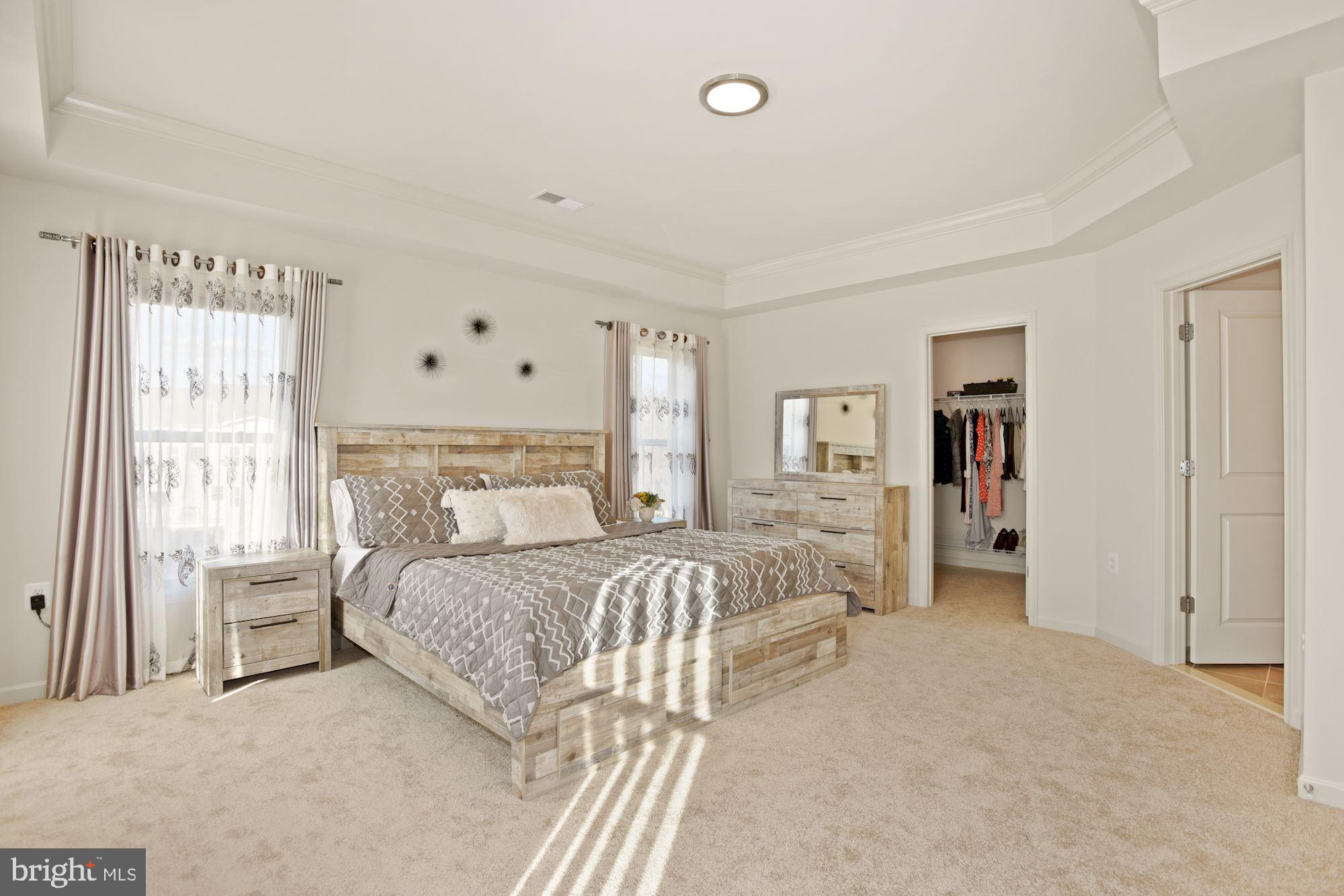 42186 Castle Ridge Square Brambleton, VA 20148 - Photo 21 of 37 Primary suite with tray ceiling!