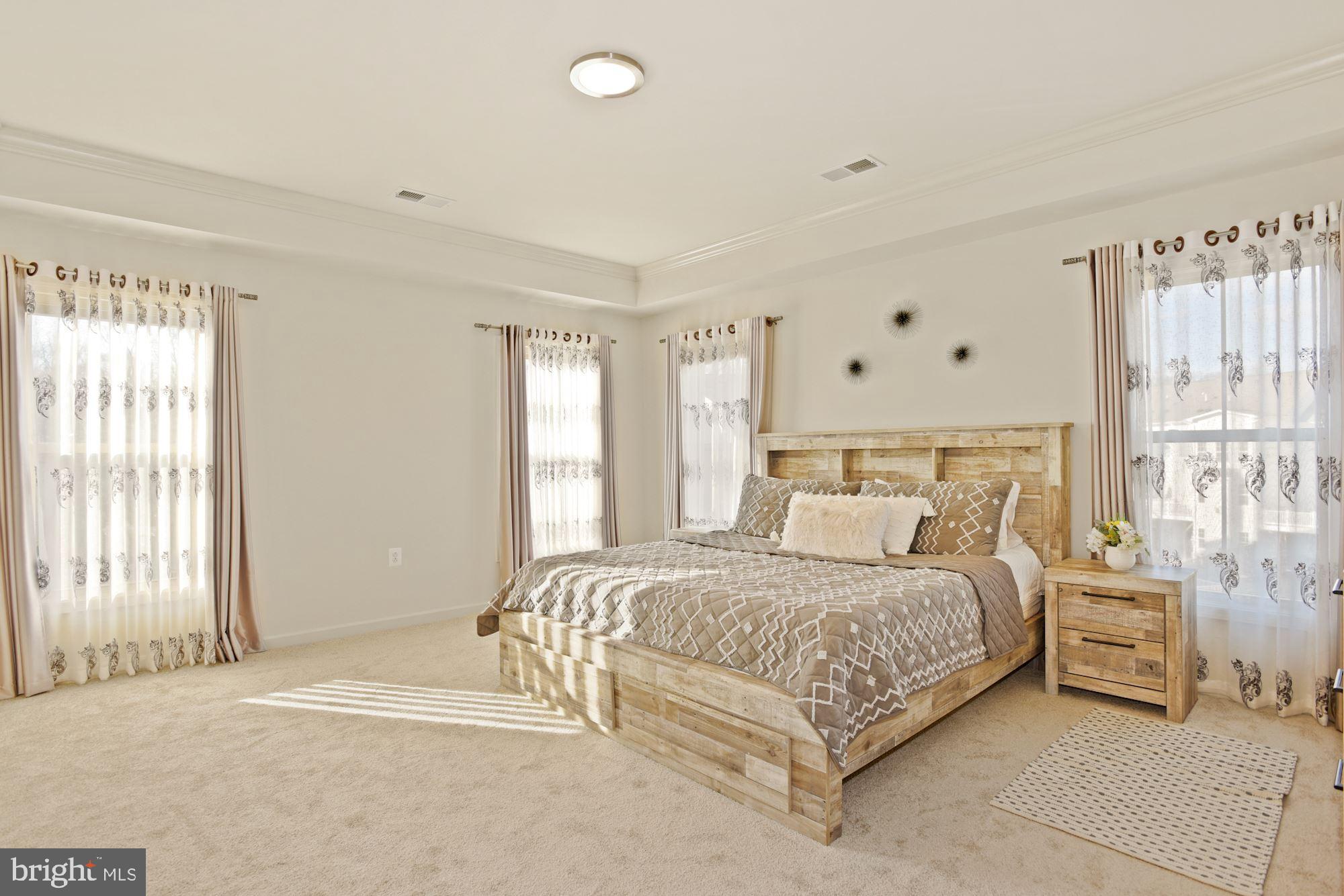 42186 Castle Ridge Square Brambleton, VA 20148 - Photo 22 of 37 Primary suite with tray ceiling!