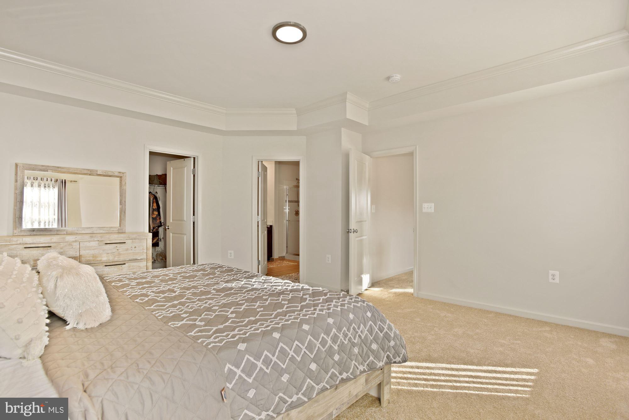 42186 Castle Ridge Square Brambleton, VA 20148 - Photo 23 of 37 Primary suite with tray ceiling!