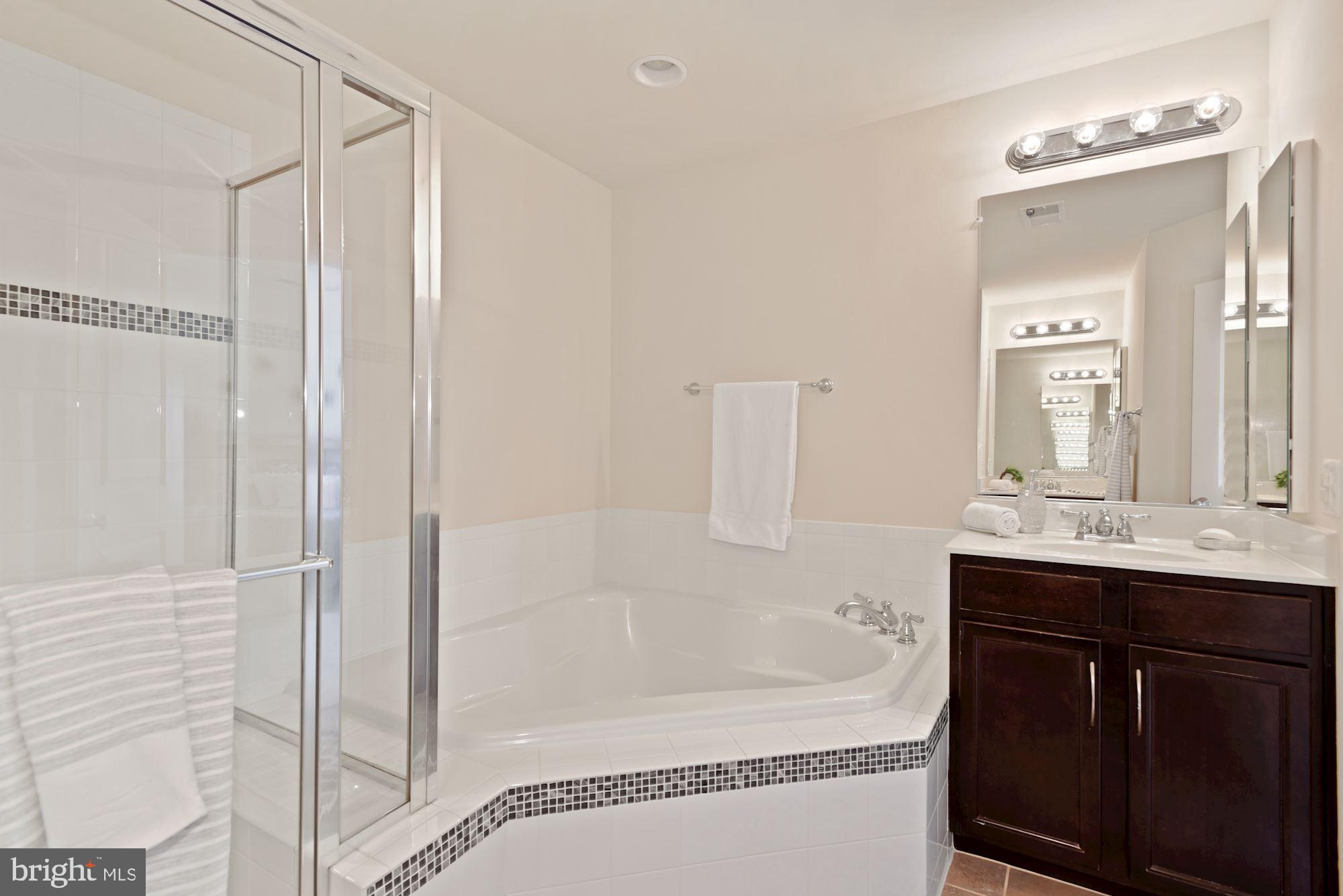 42186 Castle Ridge Square Brambleton, VA 20148 - Photo 26 of 37 En-suite bathroom w/ shower and soaking tub!