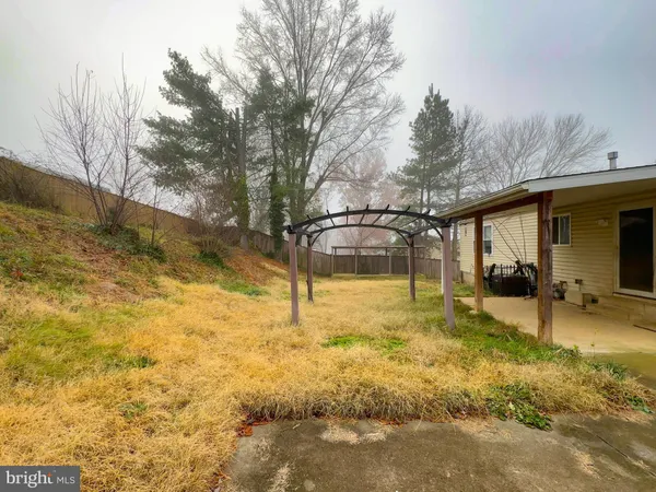 a view of back yard of the house