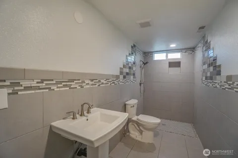 a view of a backyard with plants