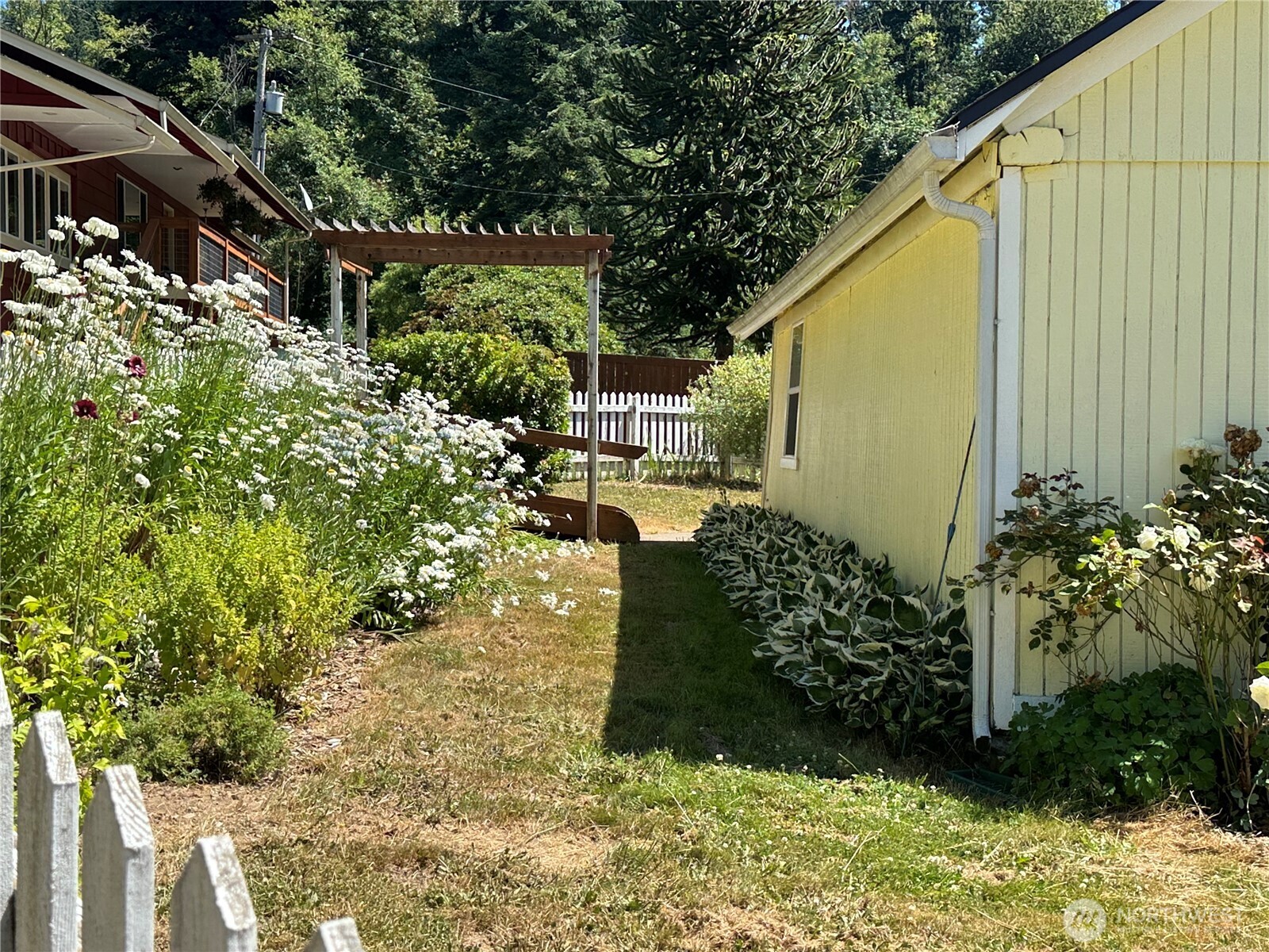 19910 Northeast 356th Street Yacolt, WA 98675 - Photo 19 of 37 a view of a backyard with plants