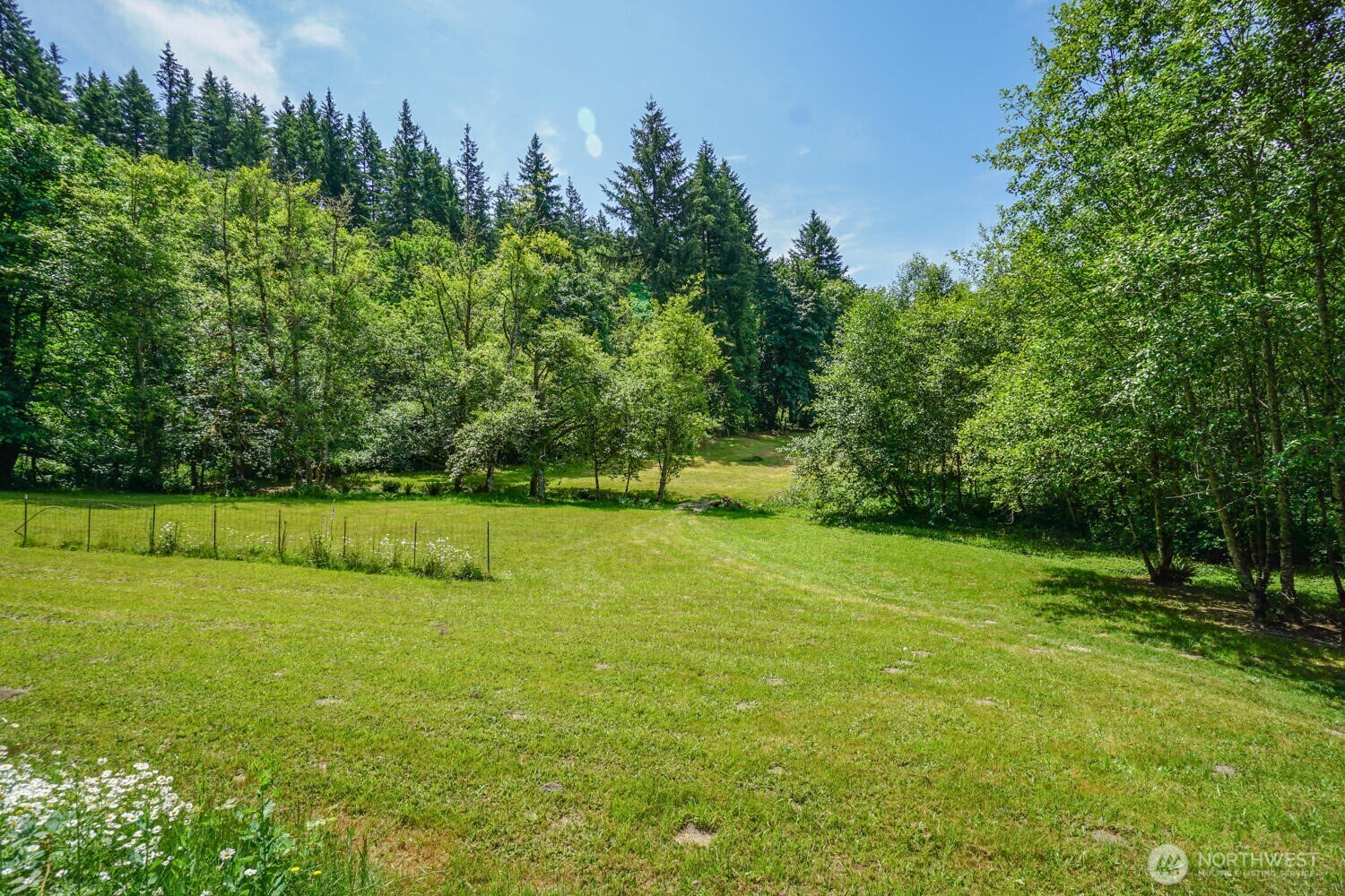 19910 Northeast 356th Street Yacolt, WA 98675 - Photo 26 of 37 a view of a field with trees in the background