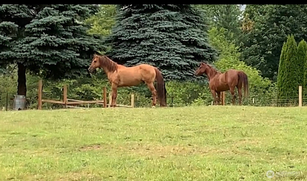 19910 Northeast 356th Street Yacolt, WA 98675 - Photo 34 of 37 a backyard of a house with table and chairs