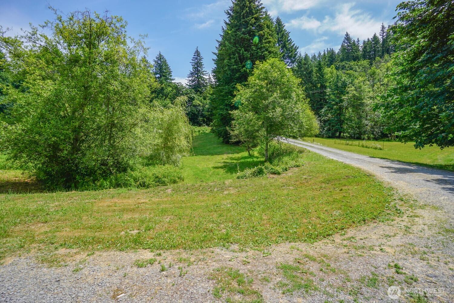 19910 Northeast 356th Street Yacolt, WA 98675 - Photo 37 of 37 a view of a field with a tree