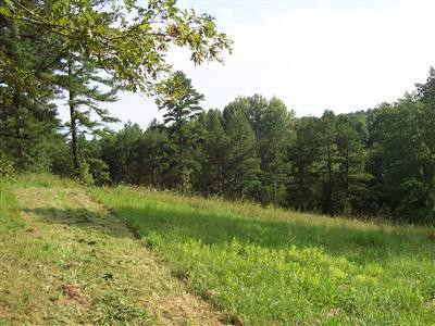 1 Walkers Branch Road Morehead, KY 40351 - Photo 2 of 7 Photo 2
