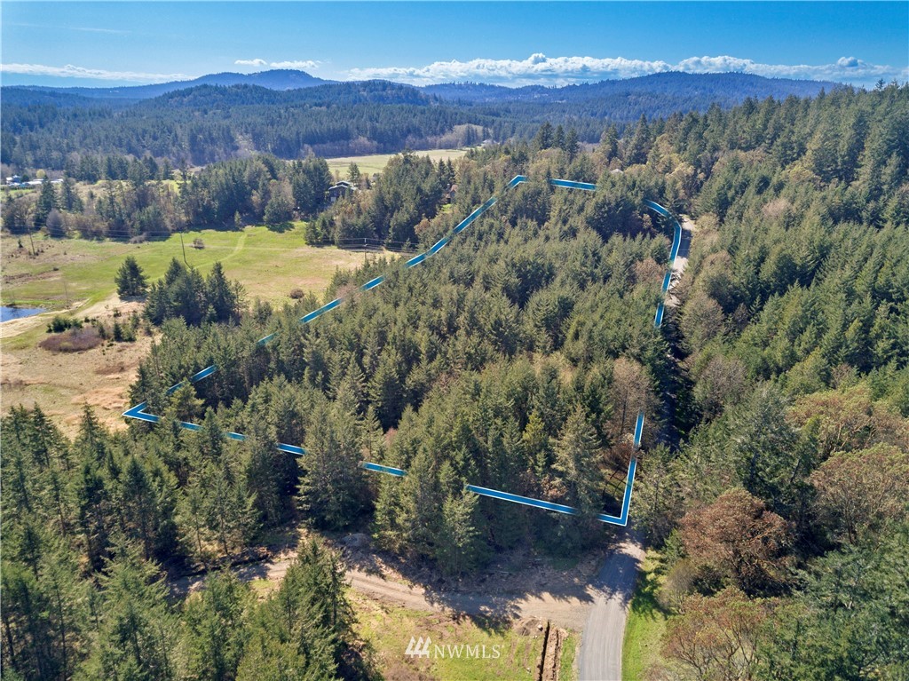 0 Ridgedale Road Friday Harbor, WA 98250 - Photo 11 of 20 Gallery Image 11