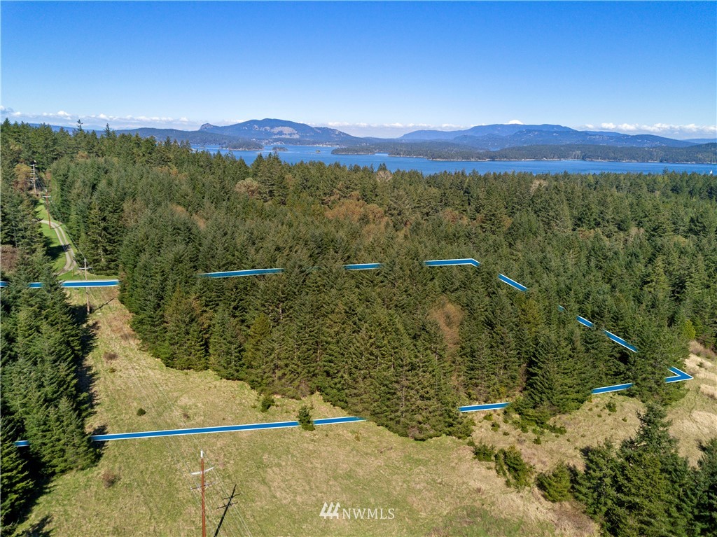 0 Ridgedale Road Friday Harbor, WA 98250 - Photo 12 of 20 Gallery Image 12