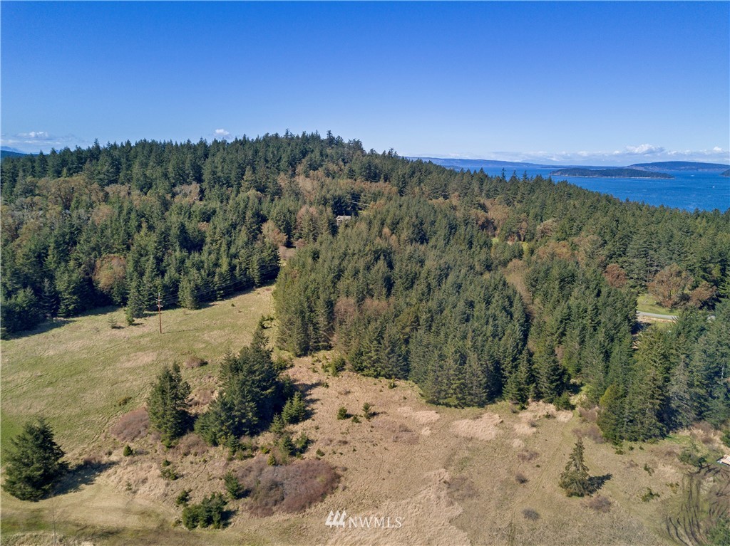 0 Ridgedale Road Friday Harbor, WA 98250 - Photo 13 of 20 Gallery Image 13