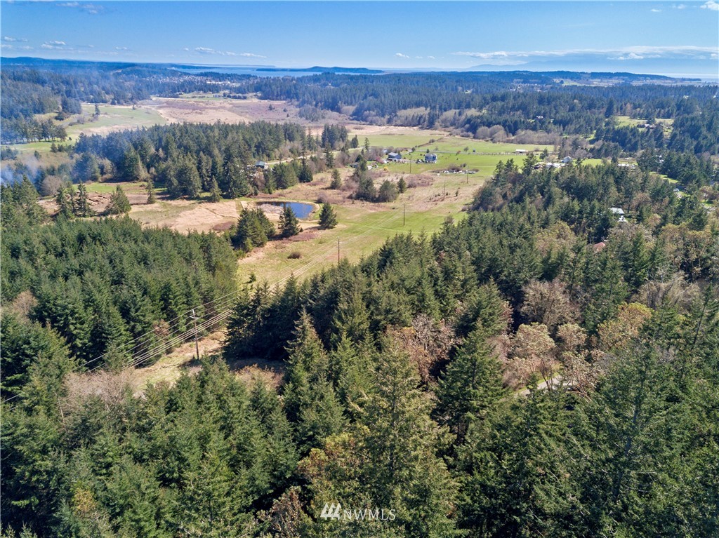0 Ridgedale Road Friday Harbor, WA 98250 - Photo 16 of 20 Gallery Image 16