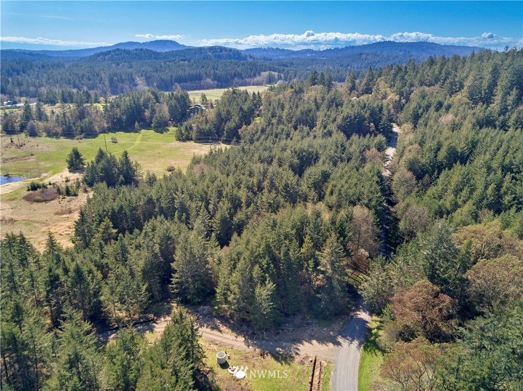 0 Ridgedale Road Friday Harbor, WA 98250 - Photo 17 of 20 Gallery Image 17