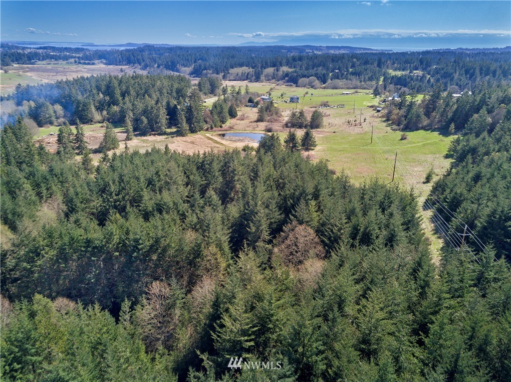 0 Ridgedale Road Friday Harbor, WA 98250 - Photo 18 of 20 Gallery Image 18