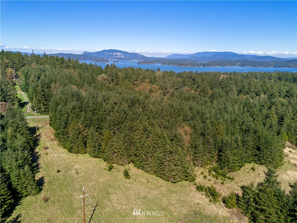 0 Ridgedale Road Friday Harbor, WA 98250 - Photo 20 of 20 Gallery Image 20