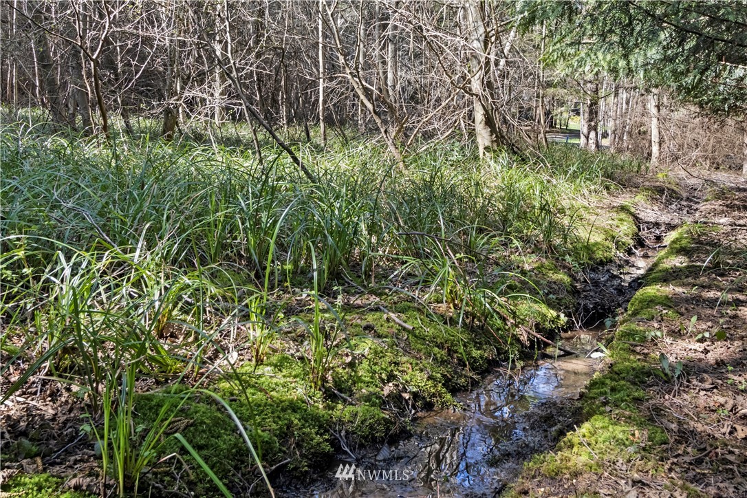 0 Ridgedale Road Friday Harbor, WA 98250 - Photo 3 of 20 Gallery Image 3