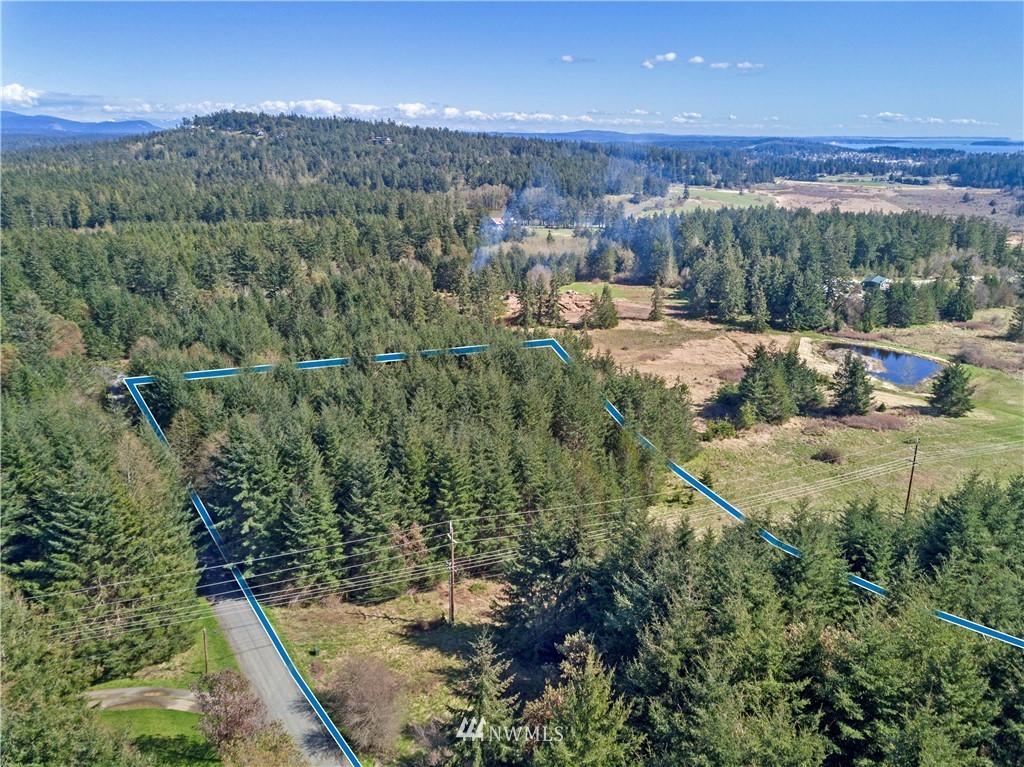 0 Ridgedale Road Friday Harbor, WA 98250 - Photo 7 of 20 Gallery Image 7