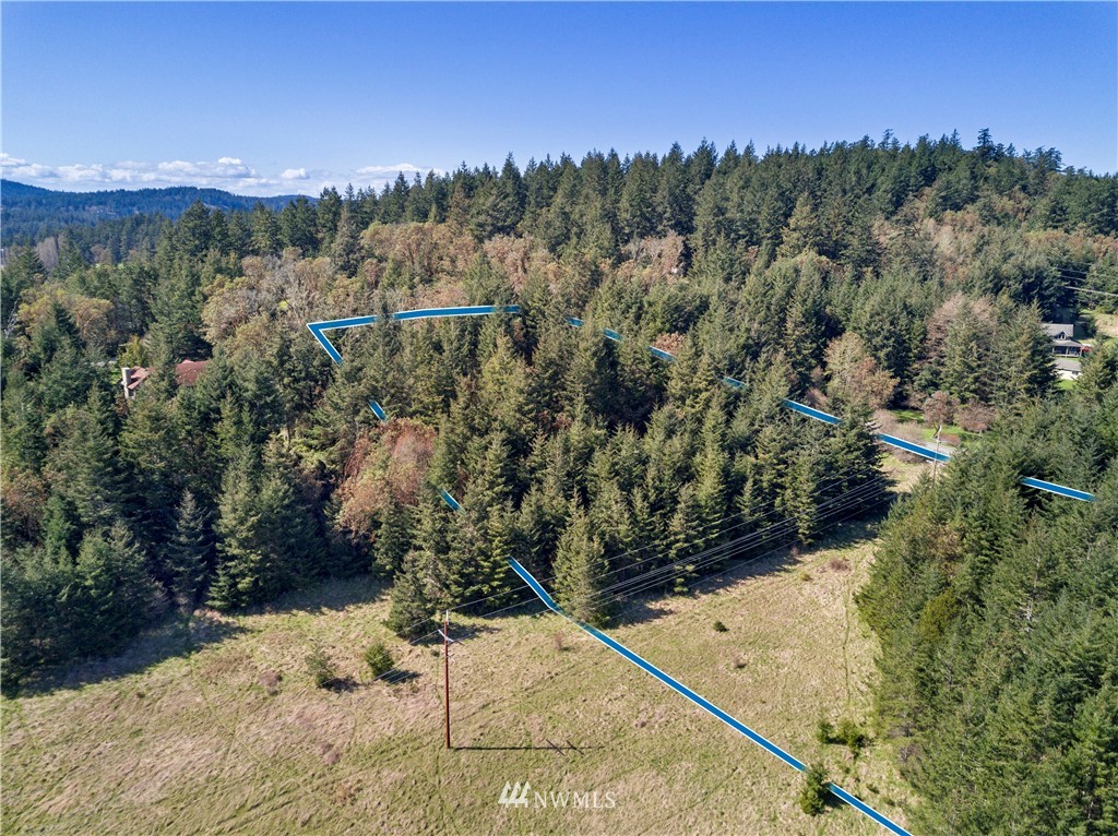 0 Ridgedale Road Friday Harbor, WA 98250 - Photo 10 of 20 Gallery Image 10