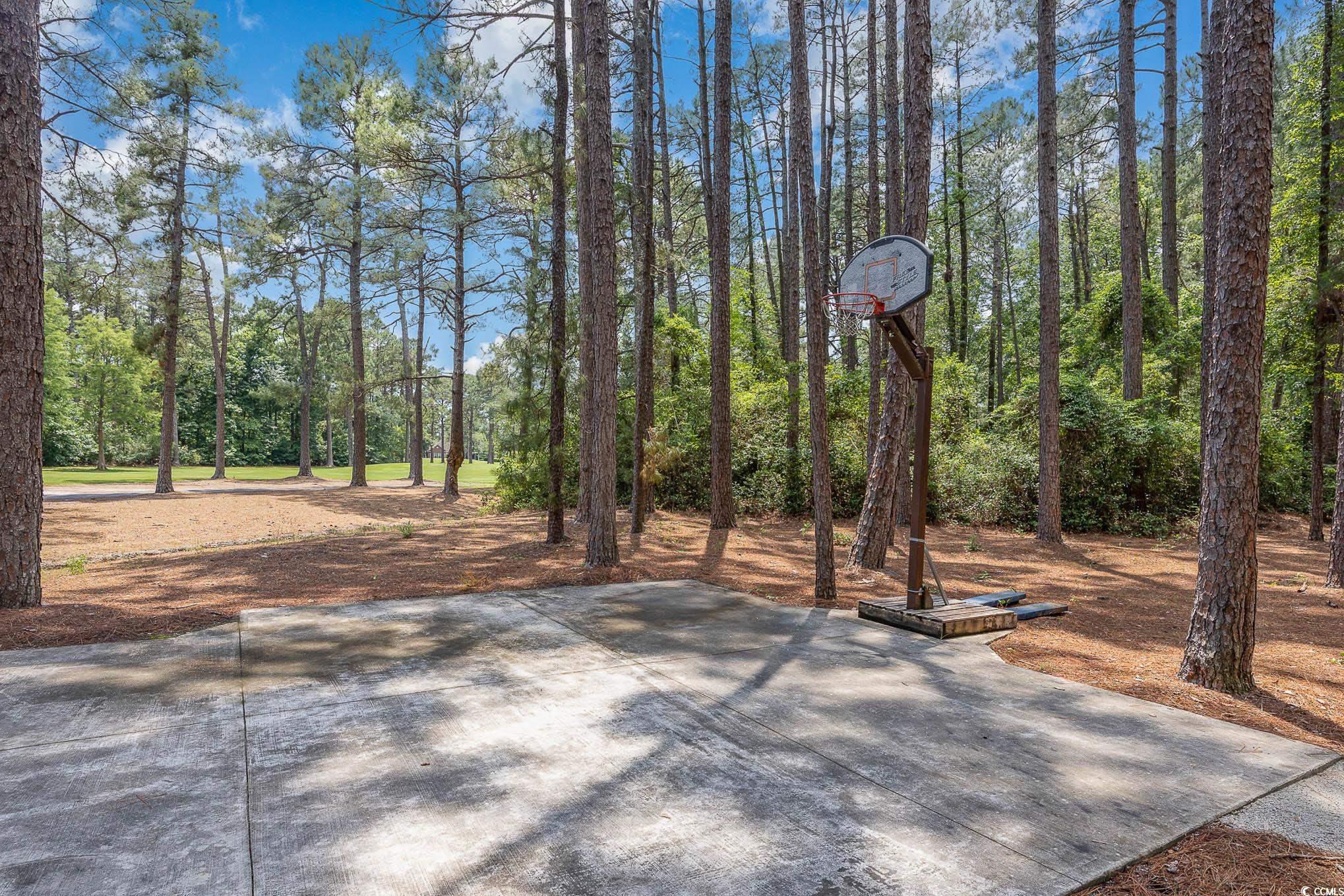 137 Hickory Drive Conway, SC 29526 - Photo 36 of 37