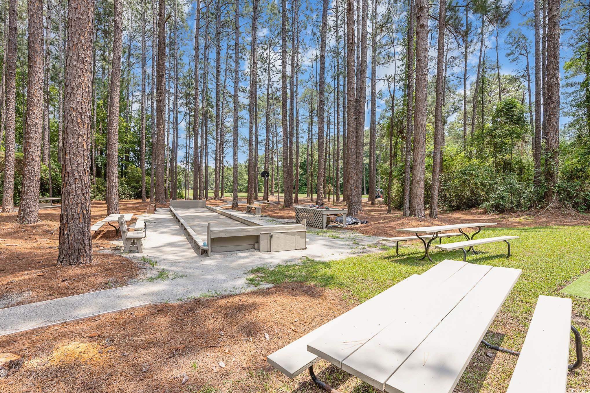 137 Hickory Drive Conway, SC 29526 - Photo 39 of 42