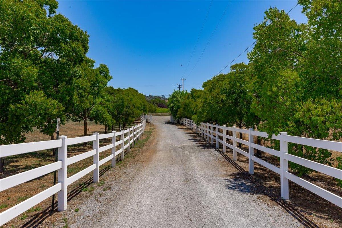 6000 Salmon Falls Road Pilot Hill, CA 95664 - Photo 64 of 96