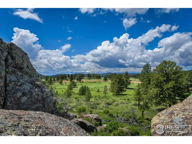 a view of a garden with a building