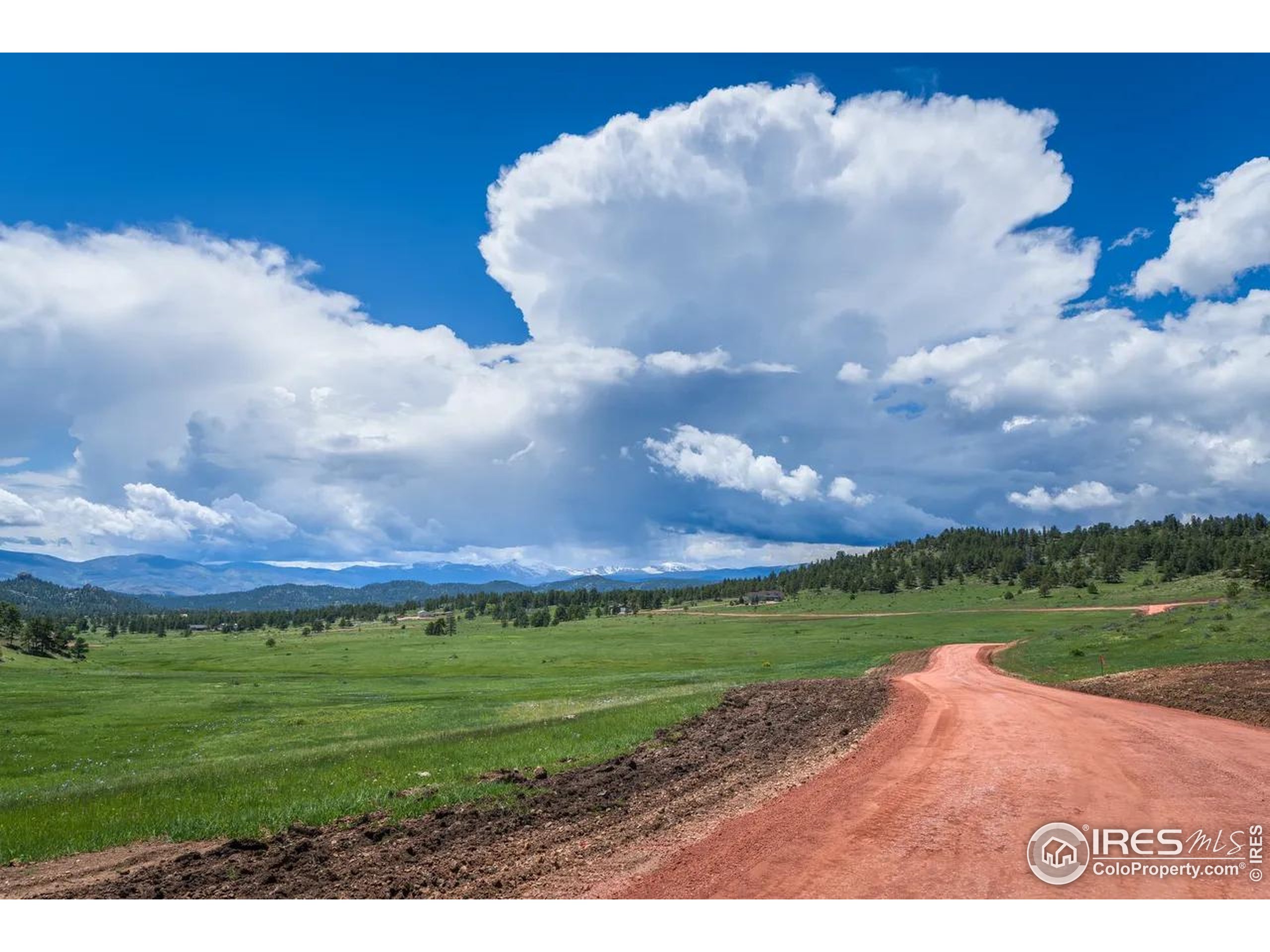 Legacy Rock Road Livermore, CO 80536 - Photo 6 of 11 a view of a big yard with a house