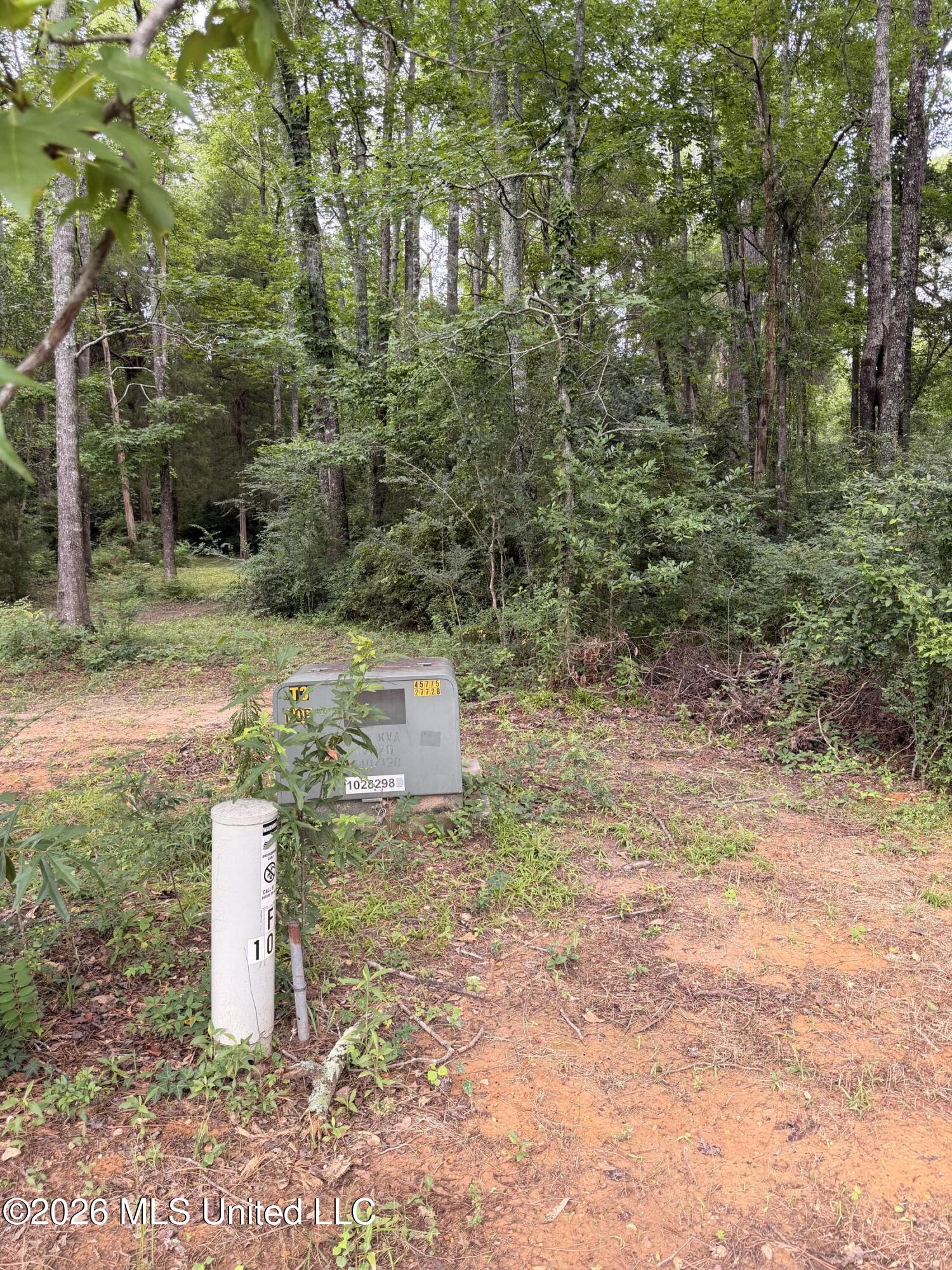 Cedar Ridge McComb, MS 39648 - Photo 9 of 12 IMG_4545