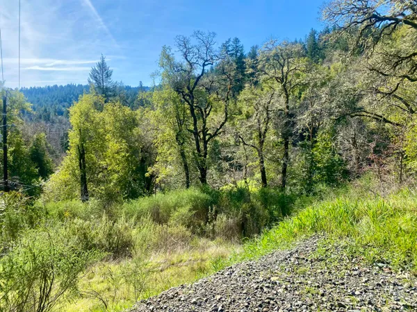 $25,000 | 90 Oakcrest Court, Benbow, CA 95542