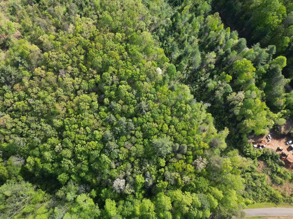 7.91 Prince Road Murphy, NC 28906 - Photo 16 of 41
