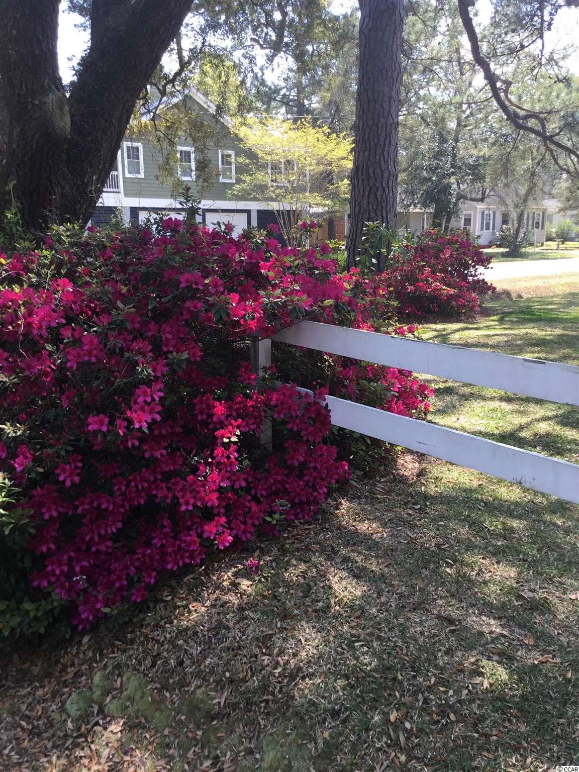 2004 Oak Street Georgetown, SC 29440 - Photo 31 of 34