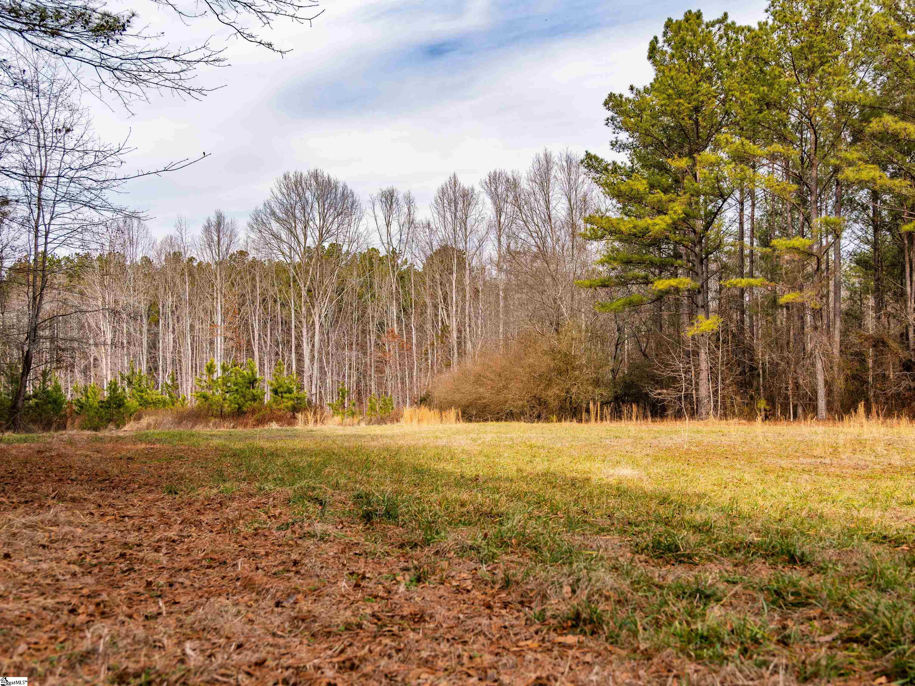 11 Mill Pine Road Liberty, SC 29657 - Photo 14 of 36