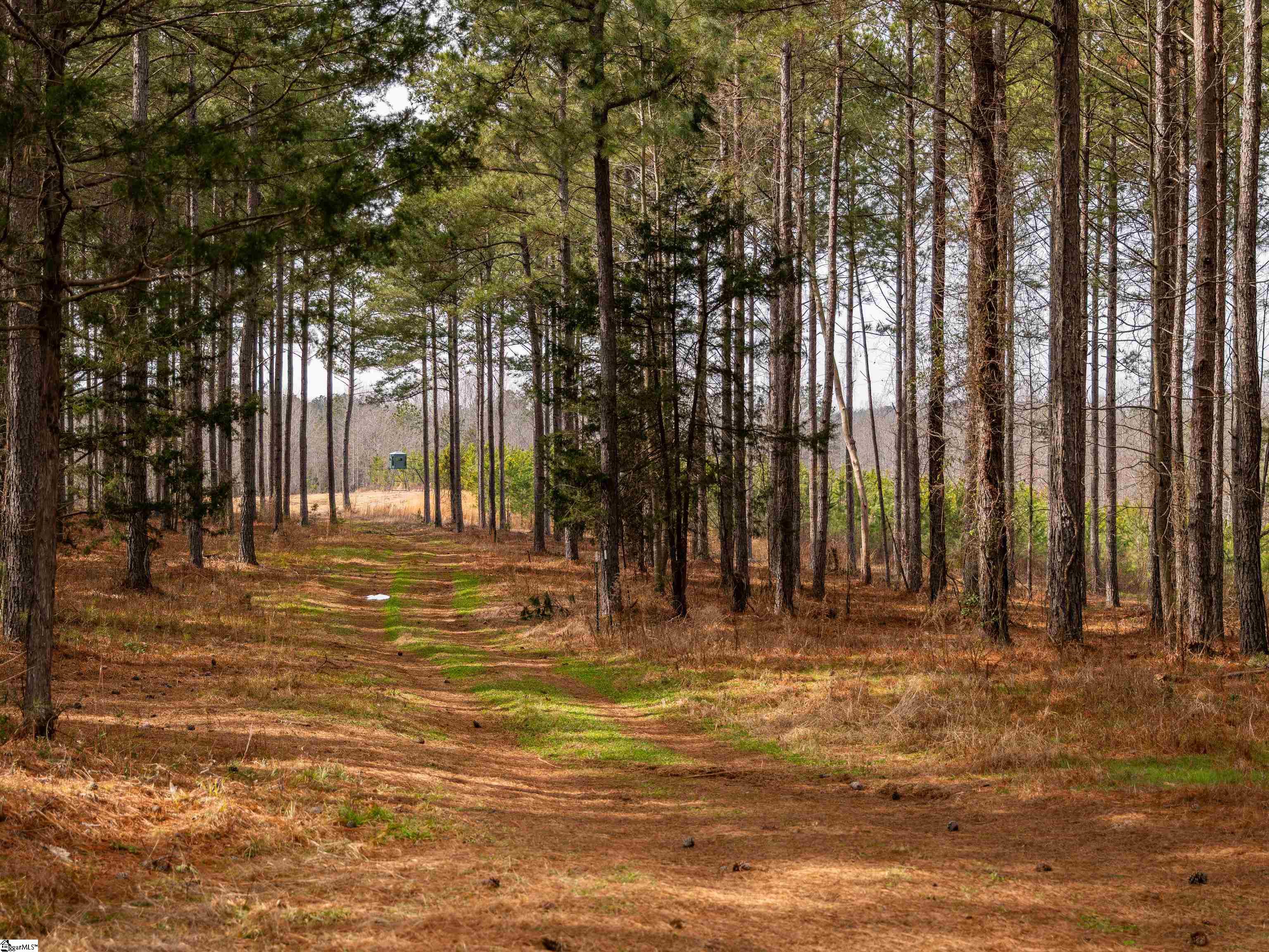 11 Mill Pine Road Liberty, SC 29657 - Photo 15 of 36