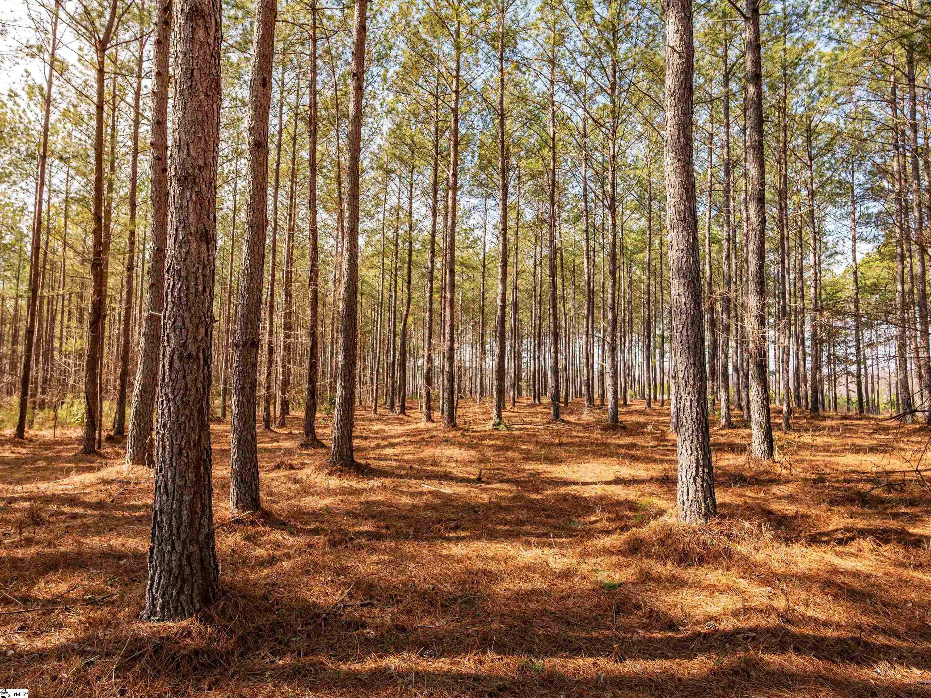 11 Mill Pine Road Liberty, SC 29657 - Photo 21 of 36