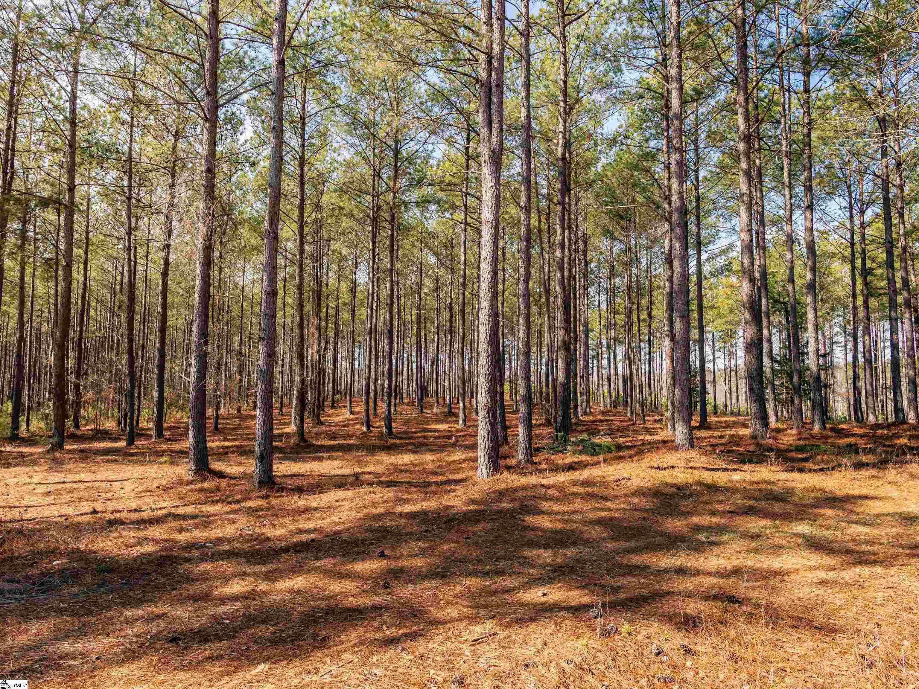 11 Mill Pine Road Liberty, SC 29657 - Photo 22 of 36