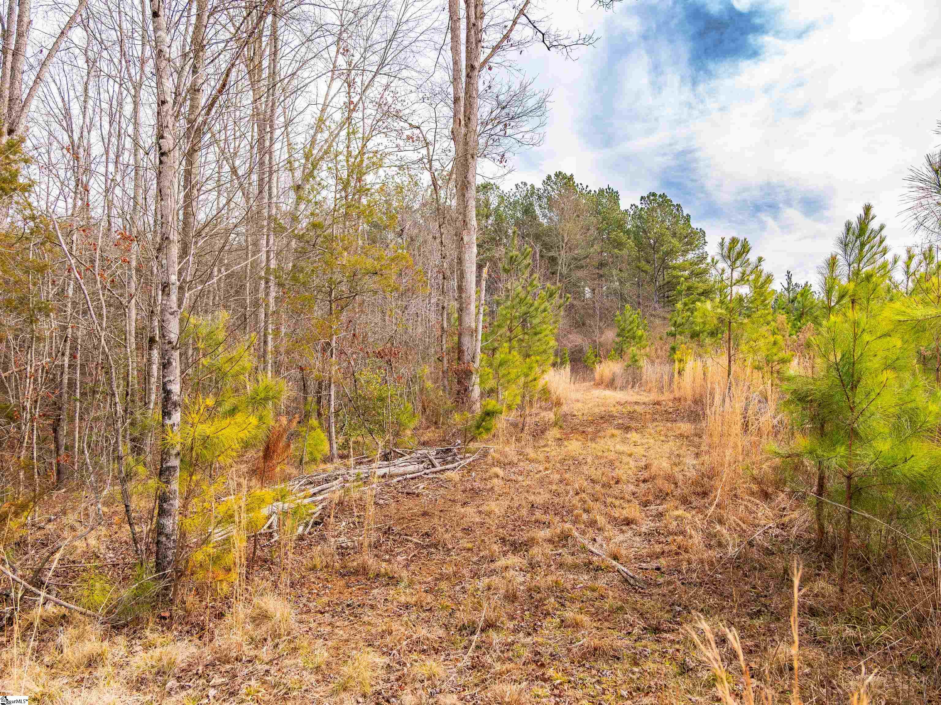 11 Mill Pine Road Liberty, SC 29657 - Photo 23 of 36