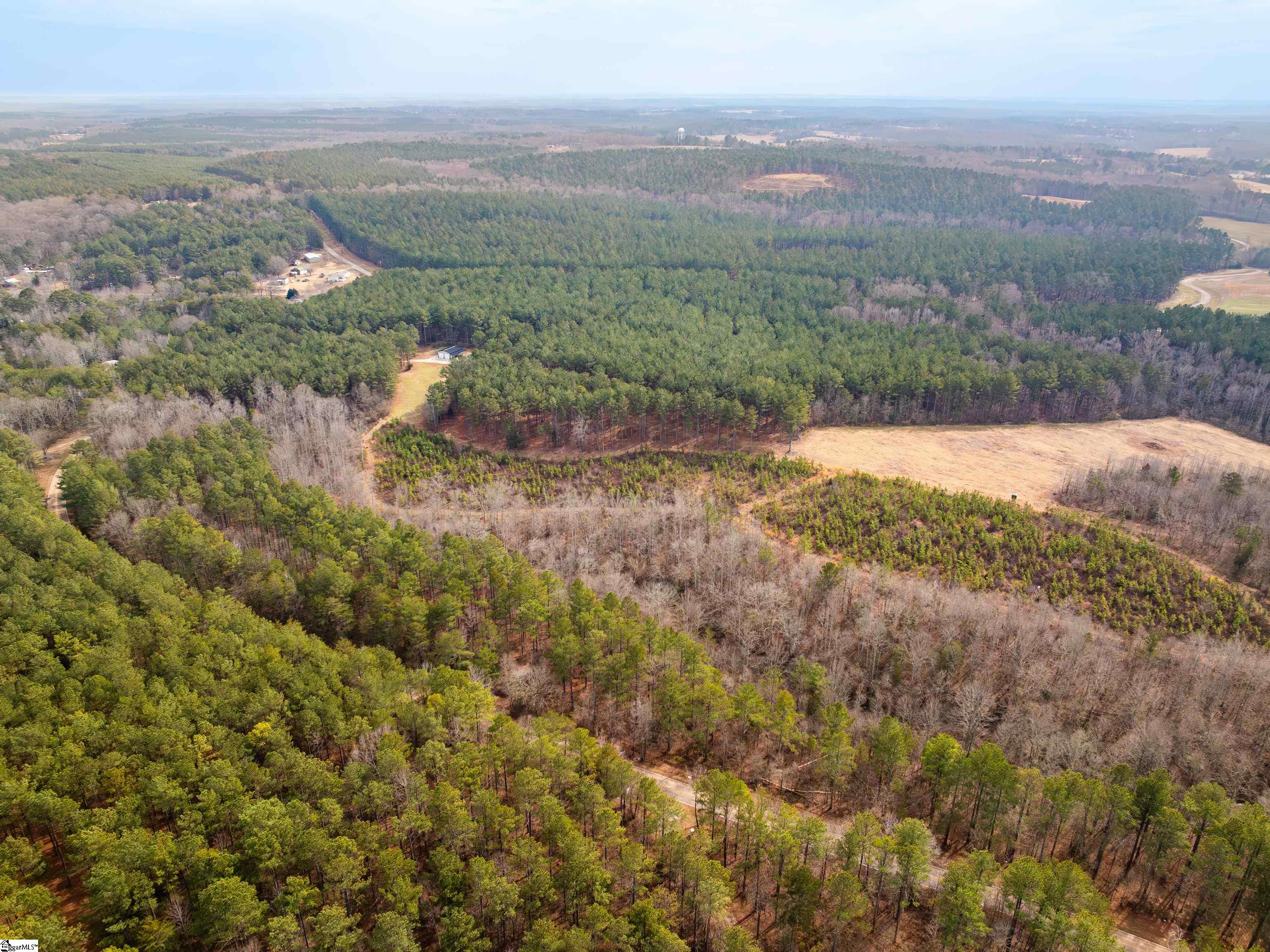11 Mill Pine Road Liberty, SC 29657 - Photo 27 of 36
