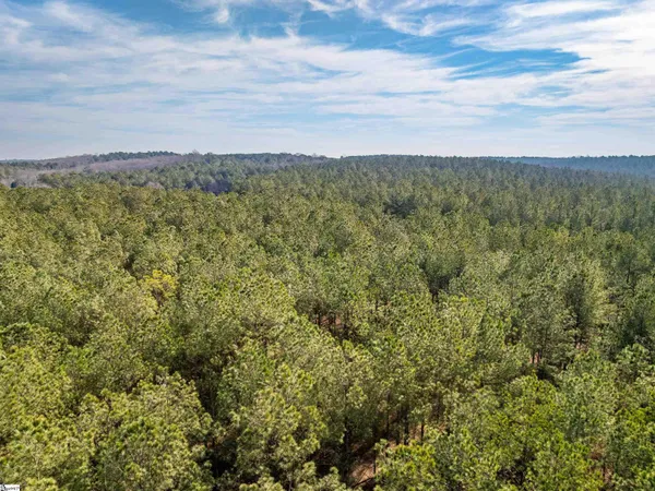 $875,000 | 11 Mill Pine Road, Liberty, SC 29657