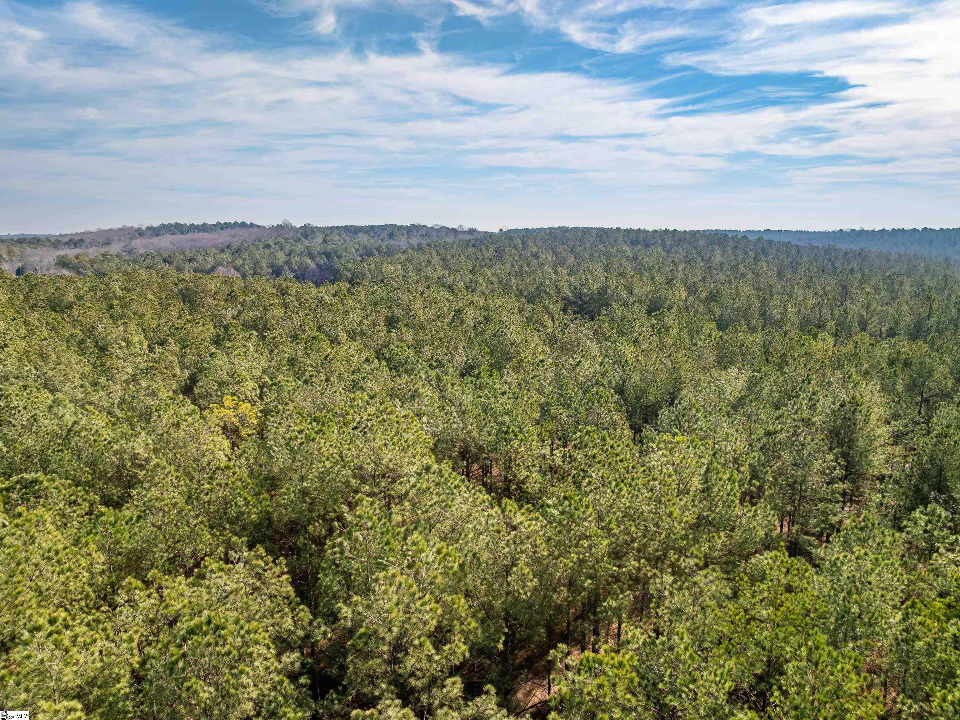 11 Mill Pine Road Liberty, SC 29657 - Photo 28 of 36