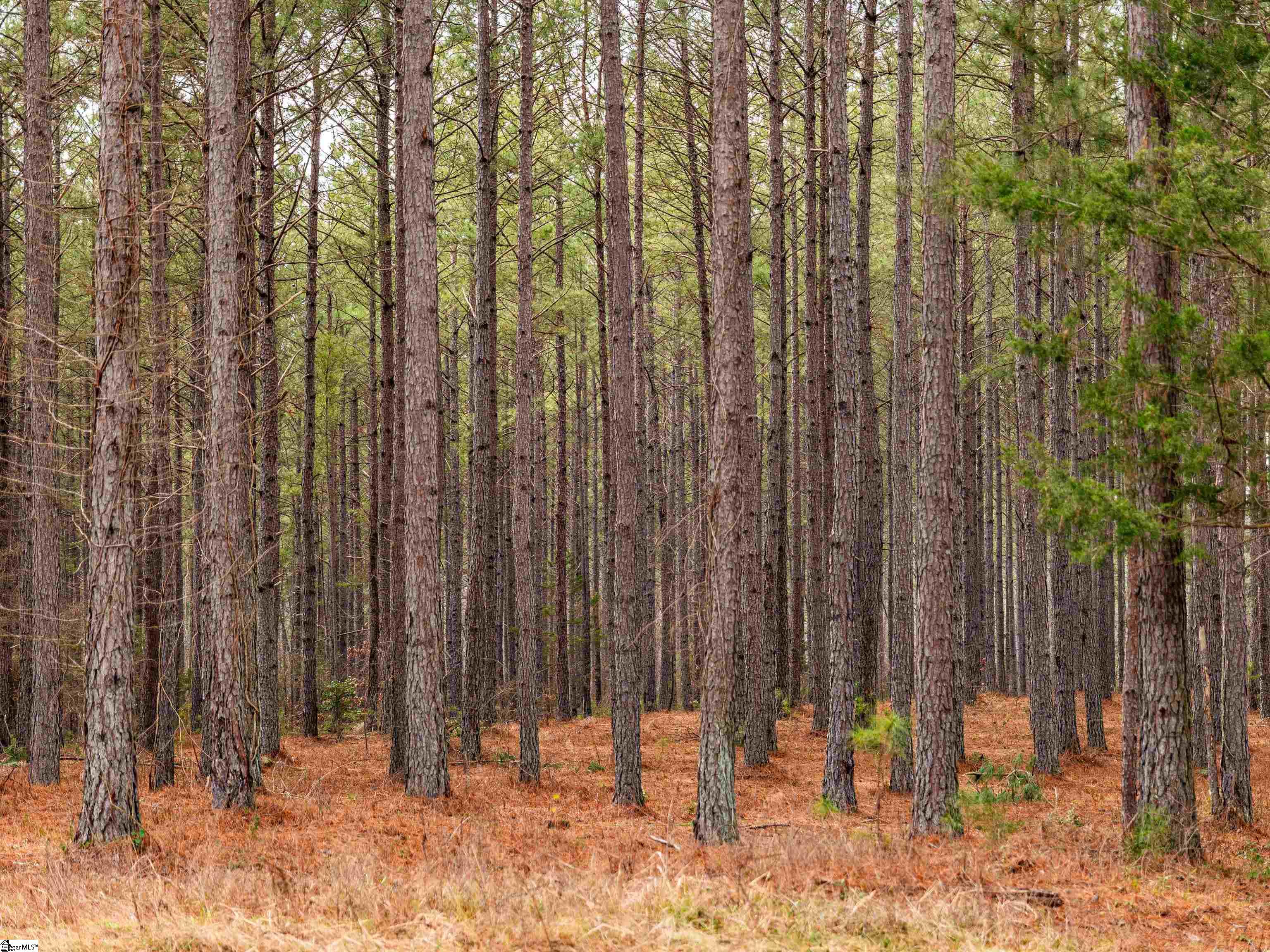 11 Mill Pine Road Liberty, SC 29657 - Photo 32 of 36