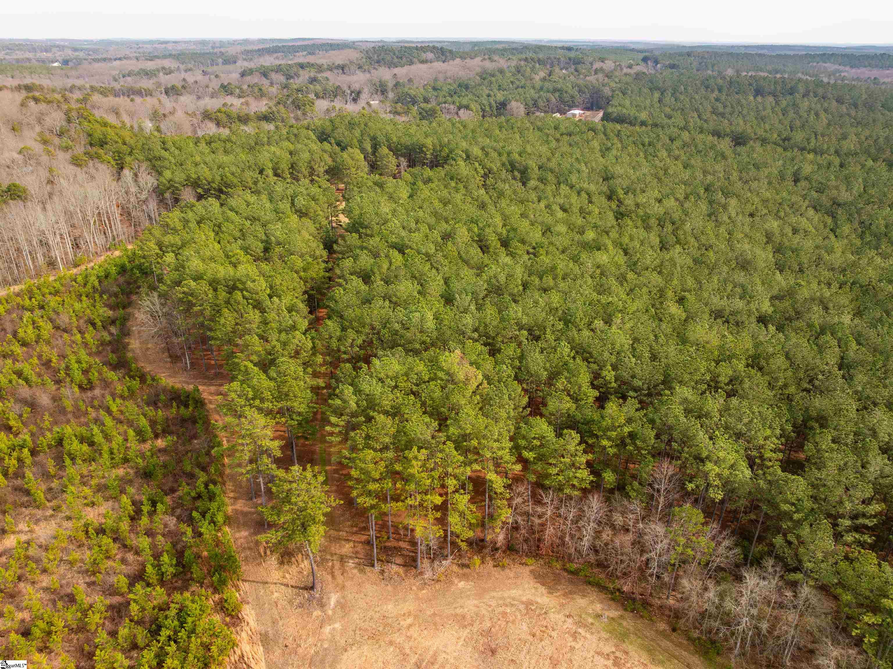 11 Mill Pine Road Liberty, SC 29657 - Photo 33 of 36