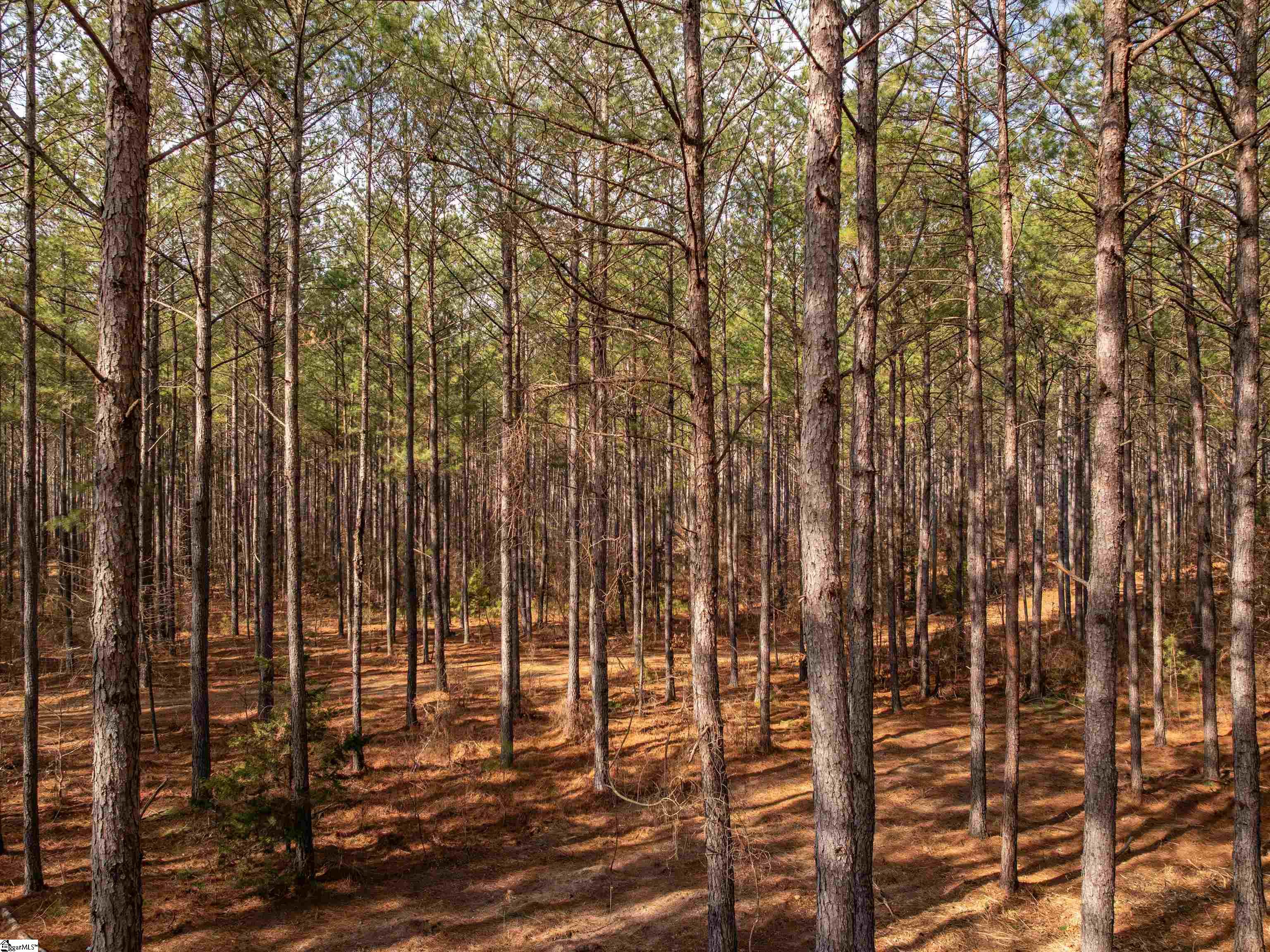 11 Mill Pine Road Liberty, SC 29657 - Photo 34 of 36