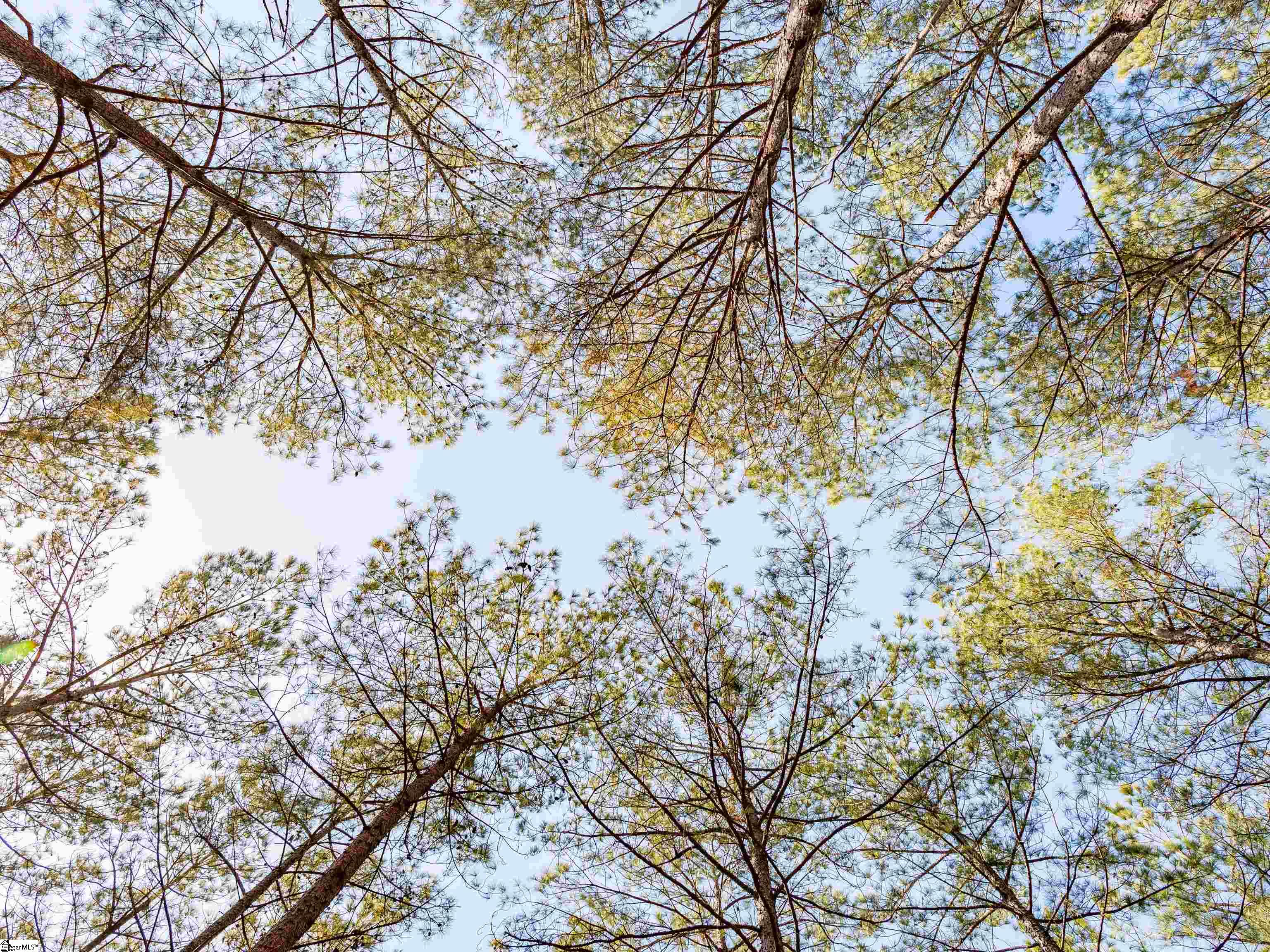 11 Mill Pine Road Liberty, SC 29657 - Photo 35 of 36