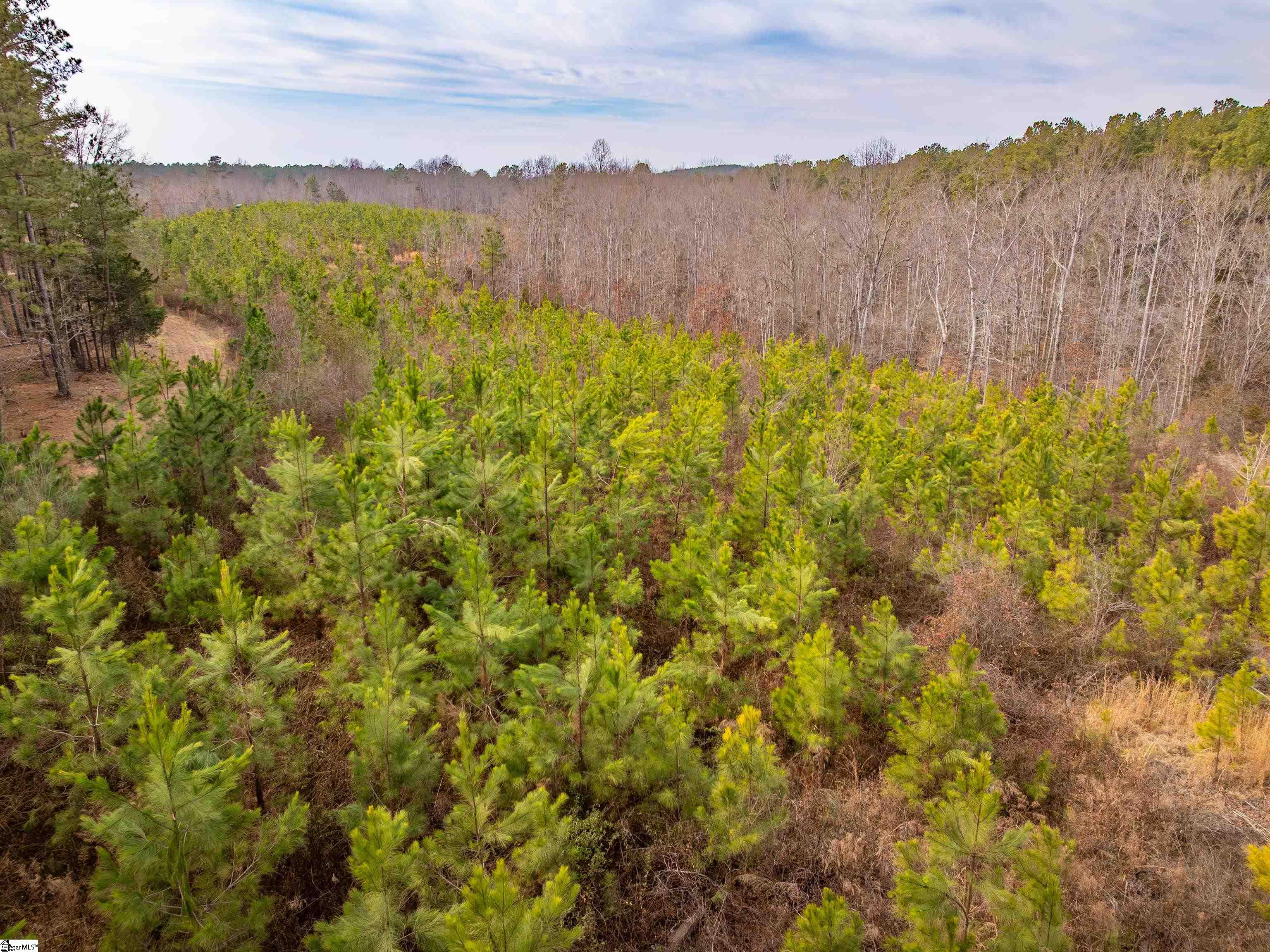 11 Mill Pine Road Liberty, SC 29657 - Photo 6 of 36