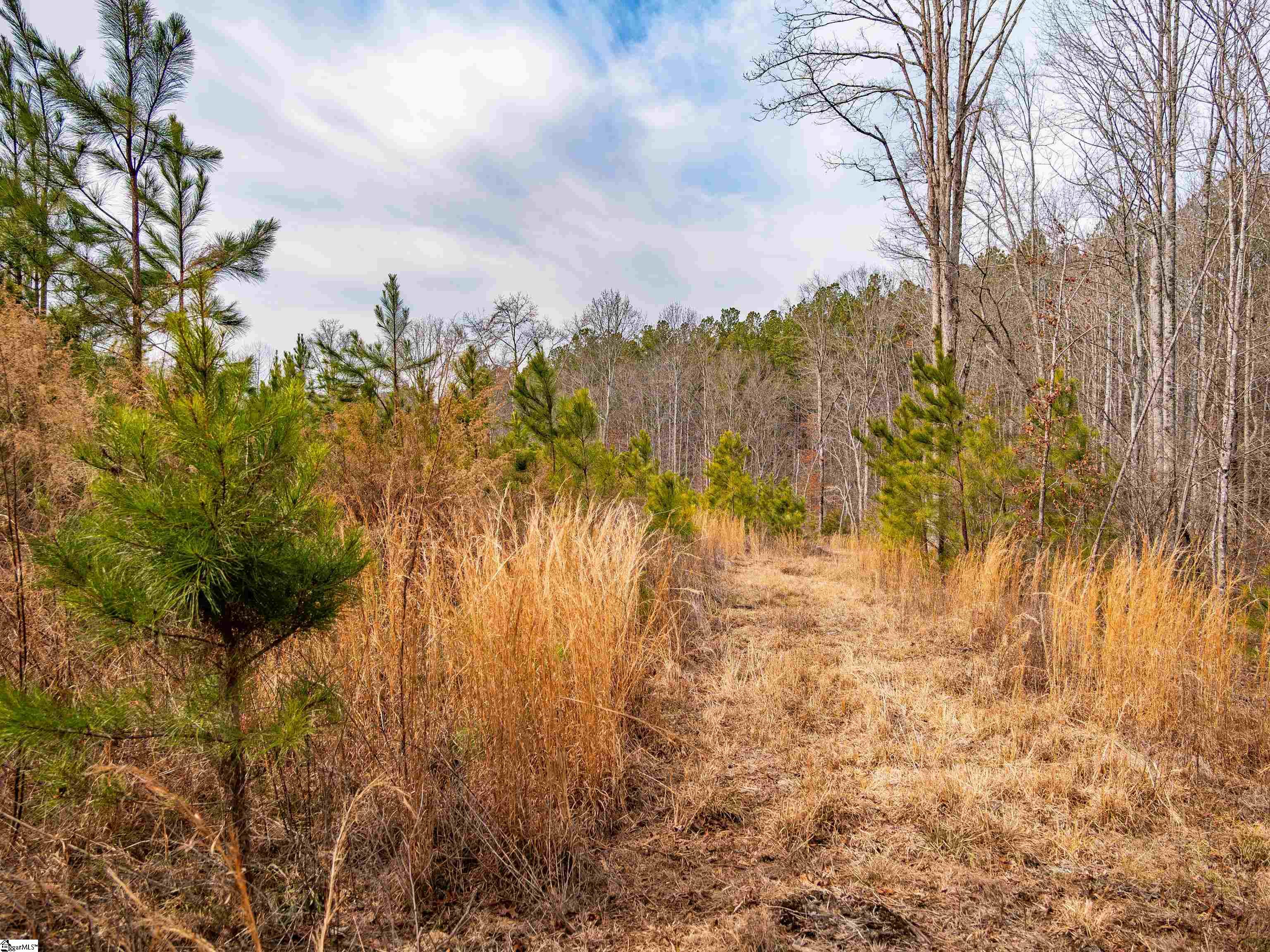 11 Mill Pine Road Liberty, SC 29657 - Photo 7 of 36