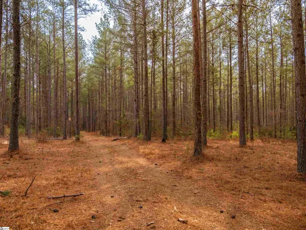 $875,000 | 11 Mill Pine Road, Liberty, SC 29657