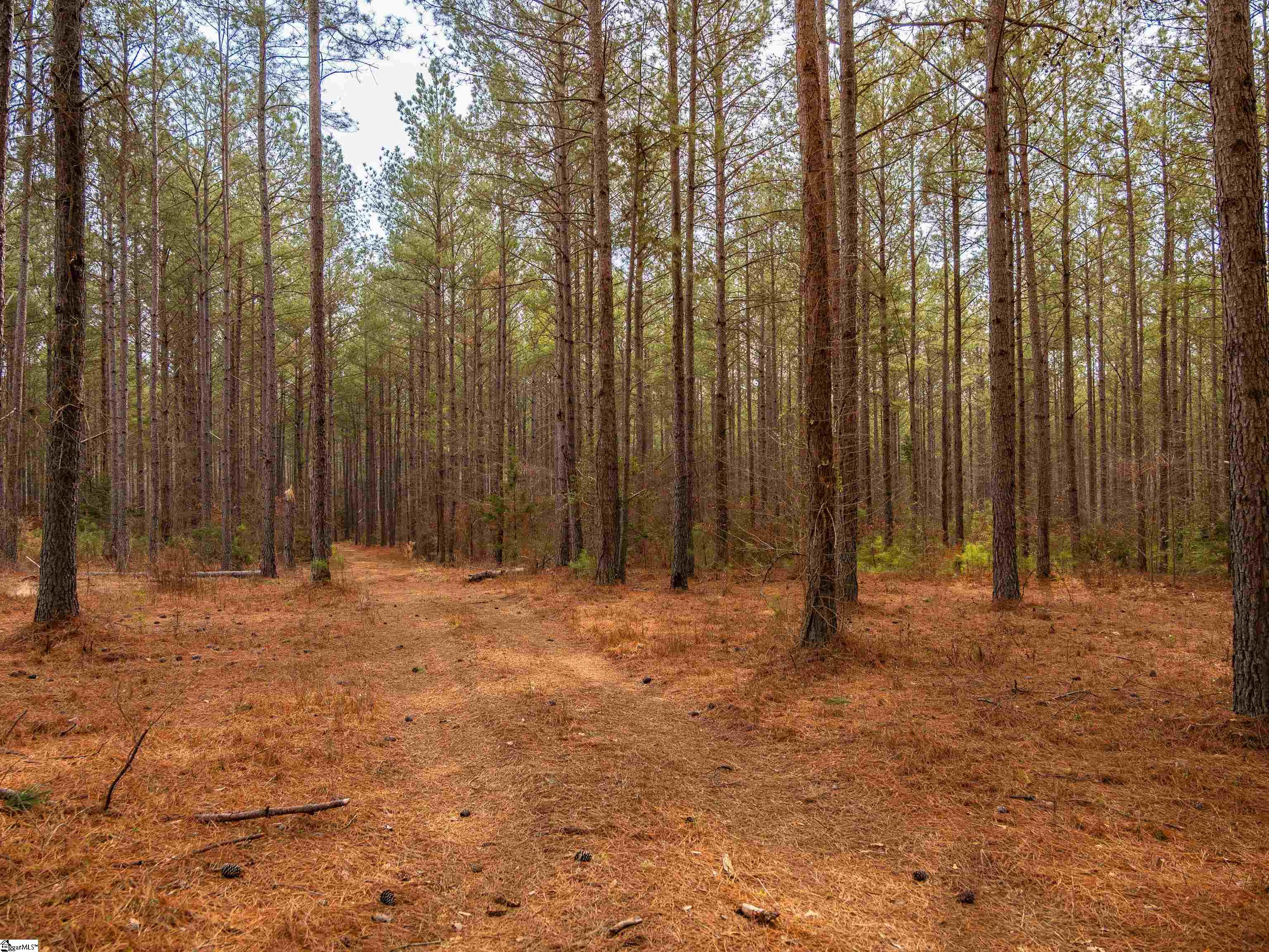 11 Mill Pine Road Liberty, SC 29657 - Photo 8 of 36